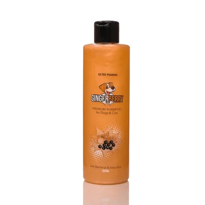 ALL4PETS GINGER BERRY DOG SHAMPOO